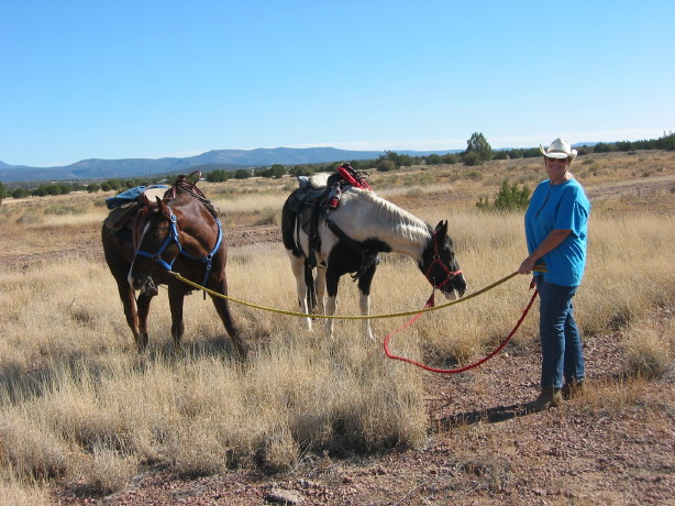 rae_grazing_horses.jpg